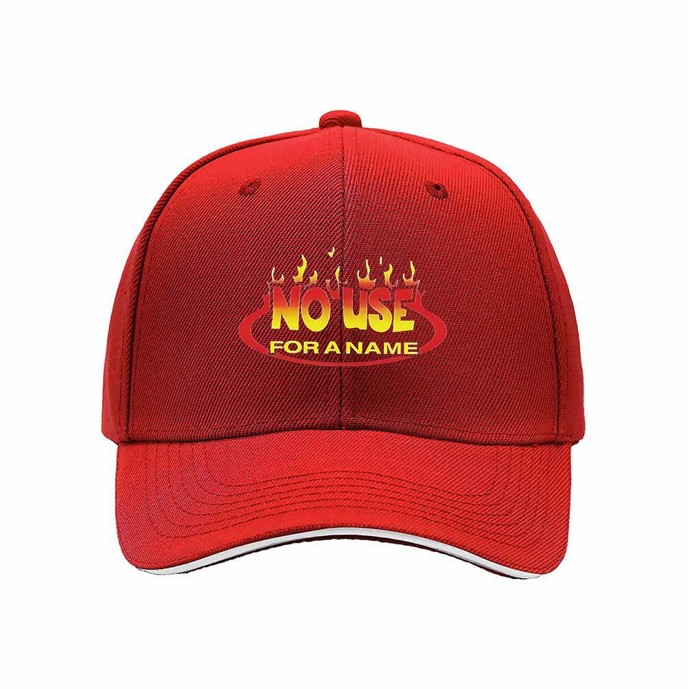 No Use For A Name Flame Logo Baseball Cap Men Women Hat Gift - Image 6