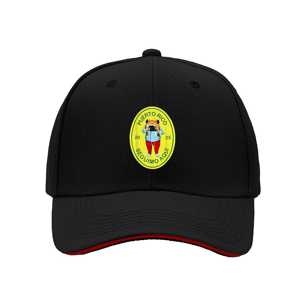 Puerto Rico Frog Baseball Cap Men Women Gift Hat