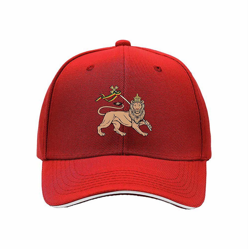 Lion King Embroidered Baseball Cap Men Women Gift Hat - Image 6