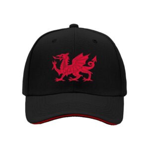 Red Dragon Embroidered Baseball Cap Men's Women's Gift Hat